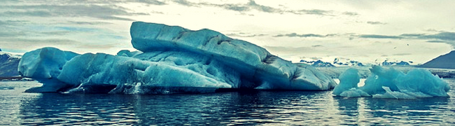 Environmental Investing