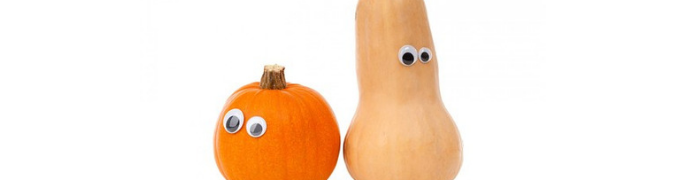 halloween, denver financial planner