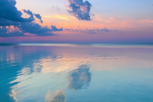 Untitled design-10 small business owner