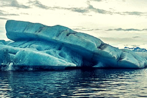 Untitled design-11 Environmental Investing