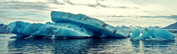 Environmental Investing
