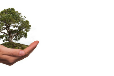 impact investing, denver financial advisor