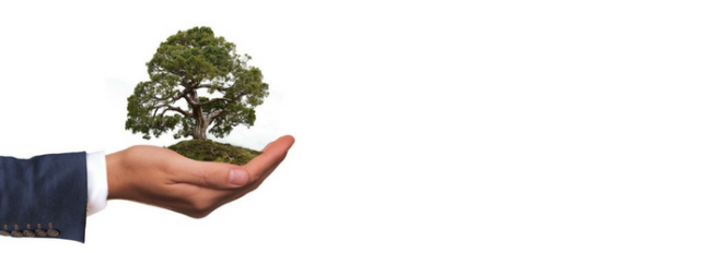 impact investing denver financial advisor impact investing, denver financial advisor