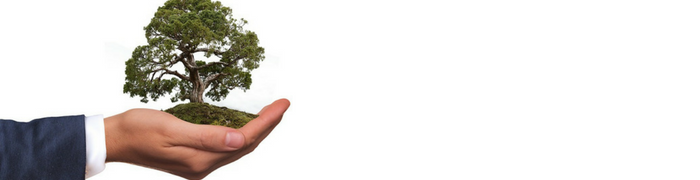 impact investing, denver financial advisor