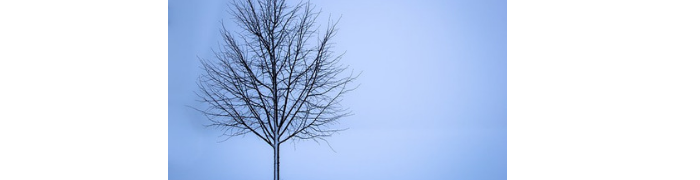 winter blues, denver financial advisor