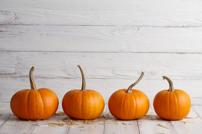 Orange,Halloween,Pumpkins,On,White,Planks,,Holiday,Decoration