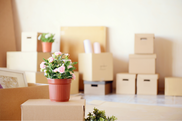 DenverFinancialPlannerMoving