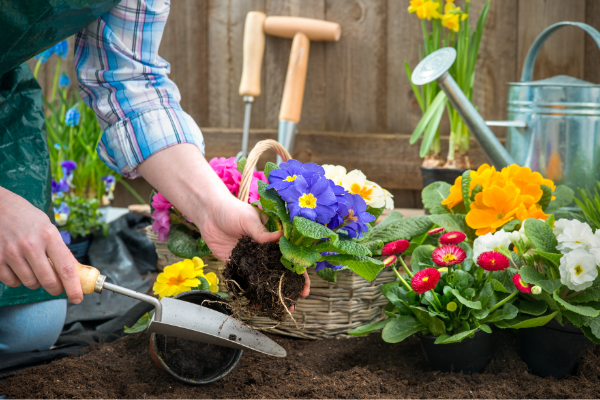 DenverFinancialPlannerPlantFlowers