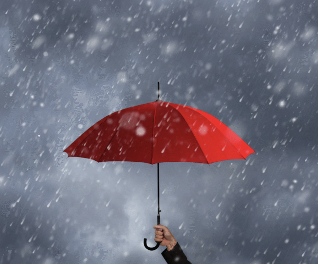 umbrella policy premiums