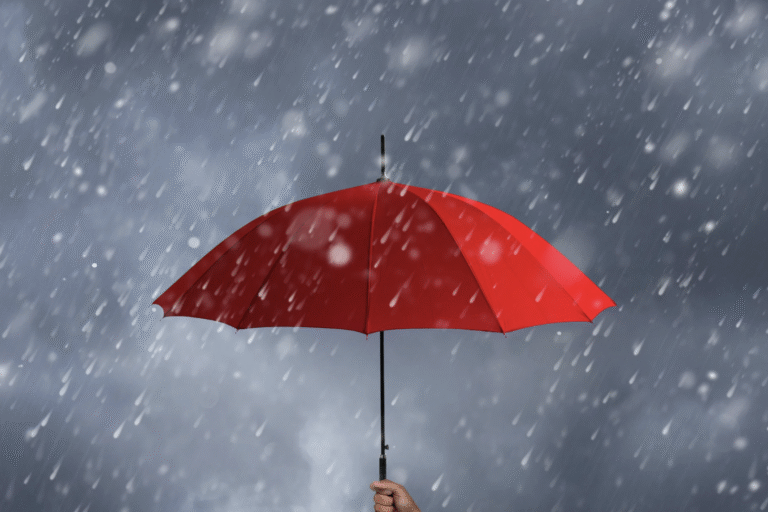 DenverFinancialPlannerUmbrellaPremiums umbrella policy premiums